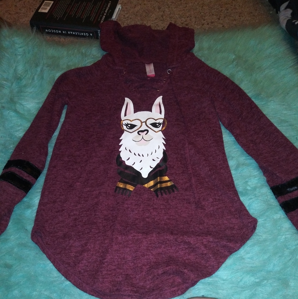 No Boundaries long sleeve juniors graphic hoodie